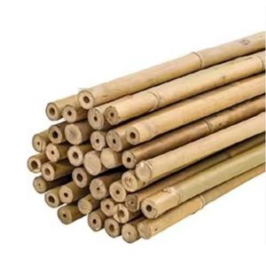 Piquets en bambou à prix avantageux pour la vente en gros – Supports agricoles durables et naturels pour vignobles, pépinières et agriculture - Product Image 1
