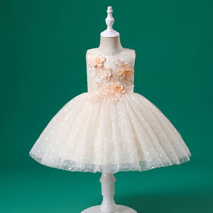 Vestidos de Bebé de Alta Calidad con Apliques de Champán, Vestido de Princesa para Bebé, Nueva Moda 2022 - Product Image 1