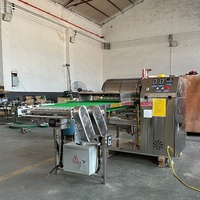 Machine automatique à omelettes, mini-crêpes et rouleaux de printemps, en acier inoxydable de qualité alimentaire, haute efficacité