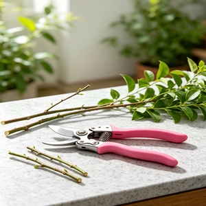 Sécateur bypass robuste professionnel pour jardinage, taille-haie manuel pour branches, roses, arbustes et vergers - Product Image 1
