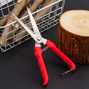 Stainless Steel <b>Pruning</b> Shears With Red Handle For Garden Fruit <b>Tree</b> Branch Cutting <b>Tool</b> - Product Image 1