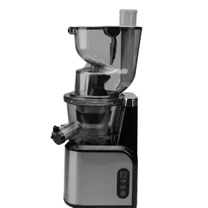 High Market Rate About Competitive Oem Stainless Steel Cold Press Slow Screw Home Fruit Juicer Reduce Oxidation