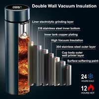 Botella de agua portátil con pantalla LED de temperatura de 500 ml, termo Digital inteligente de acero inoxidable, taza a prueba de fugas aislada al vacío