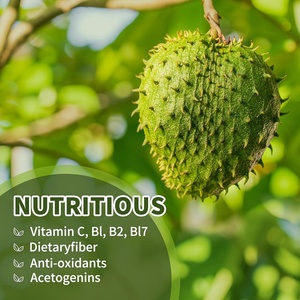 High Quality Private Label Soursop Extract <b>DROP</b> DRINK Protect Cell From Damage & Antioxidant Support & Immune boost - Product Image 5