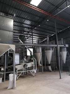 Hojas de eneldo secas FD de alta calidad directamente nuestra granja supervisada Egipto tipo de procesamiento crudo gránulos rebanadas especias individuales hierbas El - Product Image 4