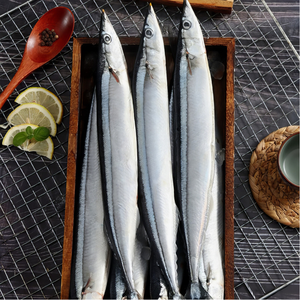 Saury del Pacífico Cololabis Saria, Recién Capturado, Salvaje y Congelado, Venta al Por Mayor a Precio de Fábrica - Product Image 5