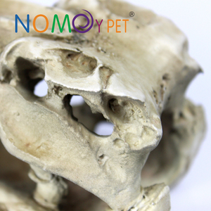 Hot Bán Nhựa Dinosaur Skull Trang Trí Cảnh Quan Bò Sát Ẩn Đặt - Product Image 3