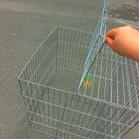 Cage à poules pondeuses pliable personnalisée 75*75*75, enclos pour volailles de combat, cage de combat pour coqs en fil de fer bon marché