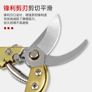 Lu Ban's Work Pruning Shears Alloy Steel 10-20 Mm Metal Handle For Branches Trimming - Product Image 3