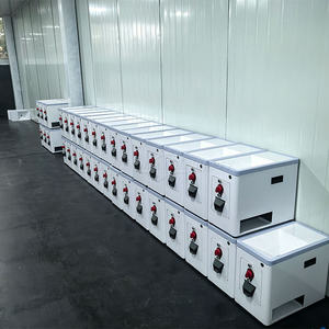 Moulin à riz domestique en acier inoxydable, mini, durable, capacité 30-50 kg/h, 220V 1.1KW, garantie 1 an - Product Image 6