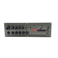 Module d'amplificateur audio karaoké HL-A1010 28V avec TWS, double microphone, contrôle de l'écho, des aigus et des basses, stéréo HiFi