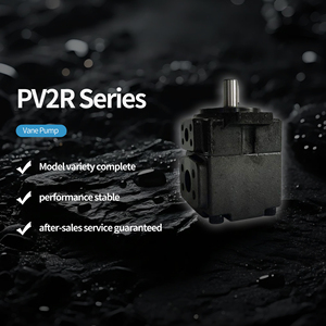 PV2R 6,8,10,12,14,17,19, 23 ,25, 26,28,31,33,41,47,53cc Series Double <b>Pumps</b> Rotary Vane <b>Pump</b> <b>Vacuum</b> - Product Image 1