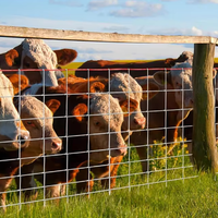 Precio de fábrica: Valla agrícola de 100 m, 1.8 m de longitud, 100% galvanizada en caliente, barrera para ganado, poste en Y de 2.3 m, doblado y cortado.