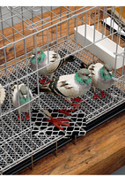 Grande Cage d'élevage de poulets confortable facile à nettoyer et à nourrir fil métallique pliant avec plateau petite Cage pour animaux de compagnie Cage pour pigeons