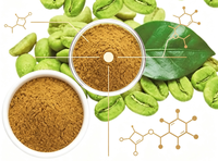 Extrait de Grains de Café Vert 45 % Acide Chlorogénique Poudre de Coffea Arabica Testé HPLC Matière Première Nutraceutique en Gros Certifiée GMP OEM