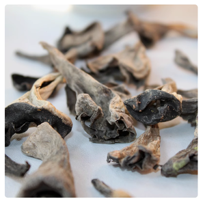 말린 검은 나팔 버섯 많은 야생 크래 테렐러스의 뿔 Cornucopioides 전체 곰팡이 판매를 위해 탈수 - Product Image 4