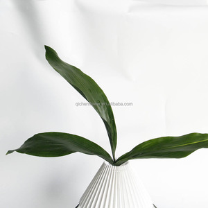 ใบแอสปิไดสตราสำหรับจัดดอกไม้ ใบไม้สีเขียวสด ขายส่งใบแอสปิไดสตรา ต้นไม้ตกแต่งภายในอาคาร ใบสด - Product Image 4