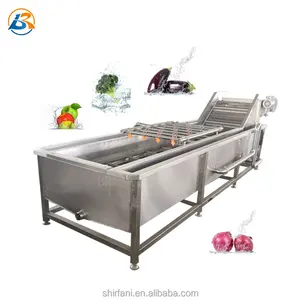 Industriële Luchtbel Sus304 Ozon Groente Wasmachine Fruit Wasmachine Wasmachine Blad Groente Wasmachine Voor Fabriek