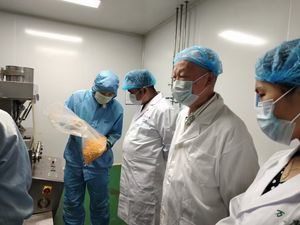 Fabrika doğrudan sevkiyat bucenözü 10:1 Boswellia özü Boswellia serserözü - Product Image 5