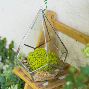 Handgemachte kreative Silber Teardrop Form geometrische Glas <span class=keywords><strong>Terrarium</strong></span> für saftige Moos Farn Pflanzen Halter Tabletop Display - Product Image 3