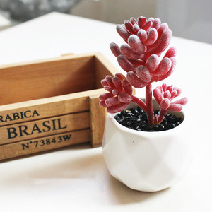 Venta al por mayor, nuevo diseño, Mini suculento con maceta de cerámica, plantas suculentas artificiales - Product Image 4
