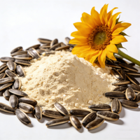 Émulsifiant végétal 100% végétalien, casher, halal, sans gluten, sans soja, sans OGM, pour étiquettes claires, poudre de lécithine de tournesol