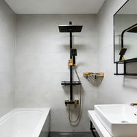 Système de douche avec choix de modèle, pomme de douche et douchette à main, accessoires de douche à effet pluie muraux, ensemble de douche
