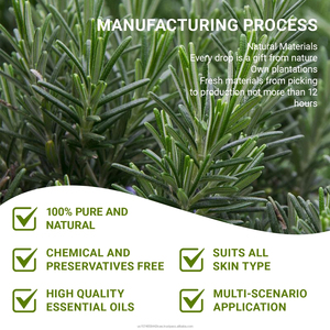 น้ำมันหอมระเหยโรสแมรี่บริสุทธิ์100% บำรุงสำหรับดูแลเส้นผมน้ำมันปลูกผมตามธรรมชาติ - Product Image 2