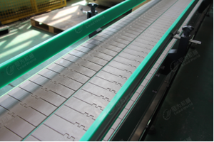 Gıda şişelenmiş su dolum hattı için Leadworld yeni tasarım konveyör makinesi plastik rulo vidalı konveyörler kemer - Product Image 2