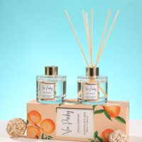 Diffuseur d'ambiance de luxe 100 ml aux senteurs naturelles de pêche, ensemble diffuseur à bâtonnets – Meilleures ventes