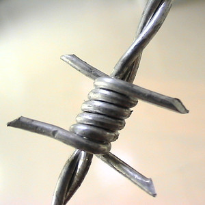 En gros rouleau <span class=keywords><strong>de</strong></span> treillis métallique Galvanisé <span class=keywords><strong>fil</strong></span> <span class=keywords><strong>de</strong></span> <span class=keywords><strong>fer</strong></span> <span class=keywords><strong>barbelé</strong></span> concertina - Product Image 4