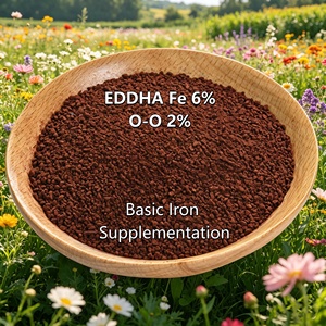 EDDHA Fe 6% Orto-Orto 2% 100% Soluble en Agua, Sin Residuos, Corrige la Deficiencia de Hierro, Hojas Amarillas, para Pulverización Foliar e Irrigación <span class=keywords><strong>por</strong></span> <span class=keywords><strong>Goteo</strong></span> - Product Image 1