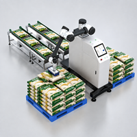 Sistema Inteligente Automático de Paletización de Bolsas con Brazo Robótico para Línea de Empaquetado de Cemento, Fertilizantes, Alimentos y Productos Químicos