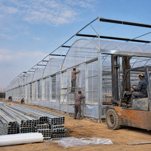 Serre multi-travées en film PE avec système de <span class=keywords><strong>gouttières</strong></span> intégré pour la production hydroponique de légumes et de fleurs - Product Image 1