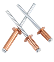 Rivets à tête aveugle en cuivre