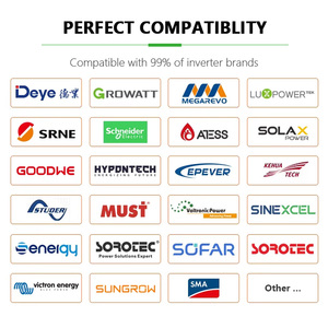 Loại gắn lithuim pin 48V 300ah 15kwh 100Ah 200AH 314ah 5kwh 10kwh powerwall hệ thống nhà di động 51.2V LiFePO4 Pin - Product Image 5