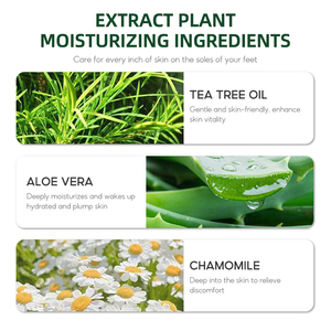 Venta directa de fábrica Etiqueta privada <span class=keywords><strong>40</strong></span>% <span class=keywords><strong>Urea</strong></span> Cuidado DE LOS PIES Aceite de árbol de té <span class=keywords><strong>Crema</strong></span> para pies Reparación Hidratante Peel Talones agrietados - Product Image 5