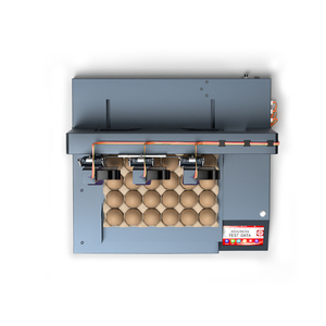 Impresora de inyección de tinta automática de 3 cabezales con pantalla táctil para codificación de huevos con tinta comestible, máquina portátil para imprimir fechas, etiquetas y números de serie - Product Image 6