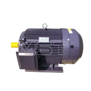 Industrial Fan Motor Squirrel Cage Three Phase Closed Induction Asynchronous Electric Ac Motor