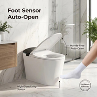 Meilleure Vente : Toilette Intelligente Anti-Éclaboussures avec Bouclier en Mousse et Télécommande, Drainage P-Trap/S-Trap pour Villas Modernes, Prise en Charge OEM/ODM