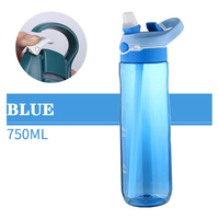 Bouteille filtrante d'eau portable de haute qualité TY 700 ml, écologique, pour sports de plein air, avec revêtement anti-corrosion, bouchon à bouton-poussoir et poignée.