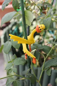 مجموعة من قطعتين عبارة عن عقد نباتات من البلاستيك الناعم المدور من البلاستيك متعدد الاستخدام والضبط صديق البيئة على شكل حيوانات مثل الضفدعة والبط والأخضر لون أصفر
