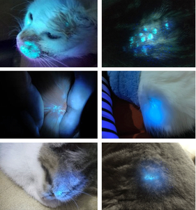 Lámpara de Wood Médica <span class=keywords><strong>Veterinaria</strong></span> con Luz UV de 365nm para Examen de Piel de Mascotas, Gatos, Perros, Clínica <span class=keywords><strong>Veterinaria</strong></span>, Centro Médico para Animales - Product Image 2