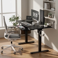 Cadre de bureau ergonomique électrique réglable en hauteur, construction métallique, moderne, extensible, convertible, fixation murale, bureau de luxe