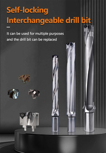 Interchangeable Head 3D/5D/8D/10D/12D Extra Long <strong>Drill</strong> Self-locking Replaceable <strong>Insert</strong> Enhanced Spot <strong>Drill</strong> <strong>Bits</strong> - Product Image 3