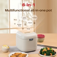 Cuisinière à riz électrique numérique multifonctionnelle intelligente 2L avec boîtier en plastique écologique pour usage domestique