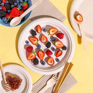 Bagazo de caña de azúcar Platos de fiesta compostables ecológicos biodegradables desechables - Product Image 6