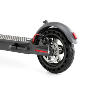 Fast Shipping Folding Kick Scooter 250w Intelligent Scooter 8.5inch With APP Electric Scooter