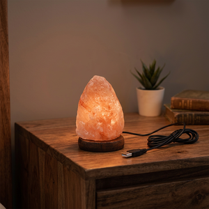 Lampe en sel rose de l'Himalaya 100% naturel de qualité supérieure pour la décoration intérieure, mini lampe USB en forme de feuille, attrape-rêves Feng Shui sculpté - Product Image 1