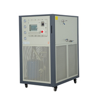 Machine de refroidissement par recirculation industrielle DLSB-300/80 300L -80°C 13hp 42kW 220/380/480V Triphasé/50Hz Refroidissement par air/eau
